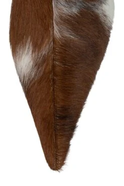 DARLING-2F 13 DARLING-2F -Winter Shoes Store darling 2f knee high boot yyh 194326