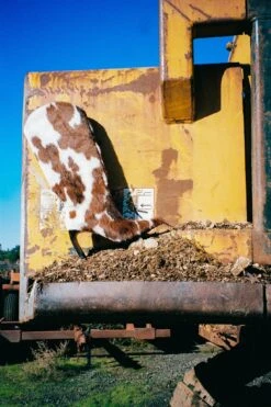 PINPOINT-F -Winter Shoes Store pinpoint f knee high boot yyh 810414