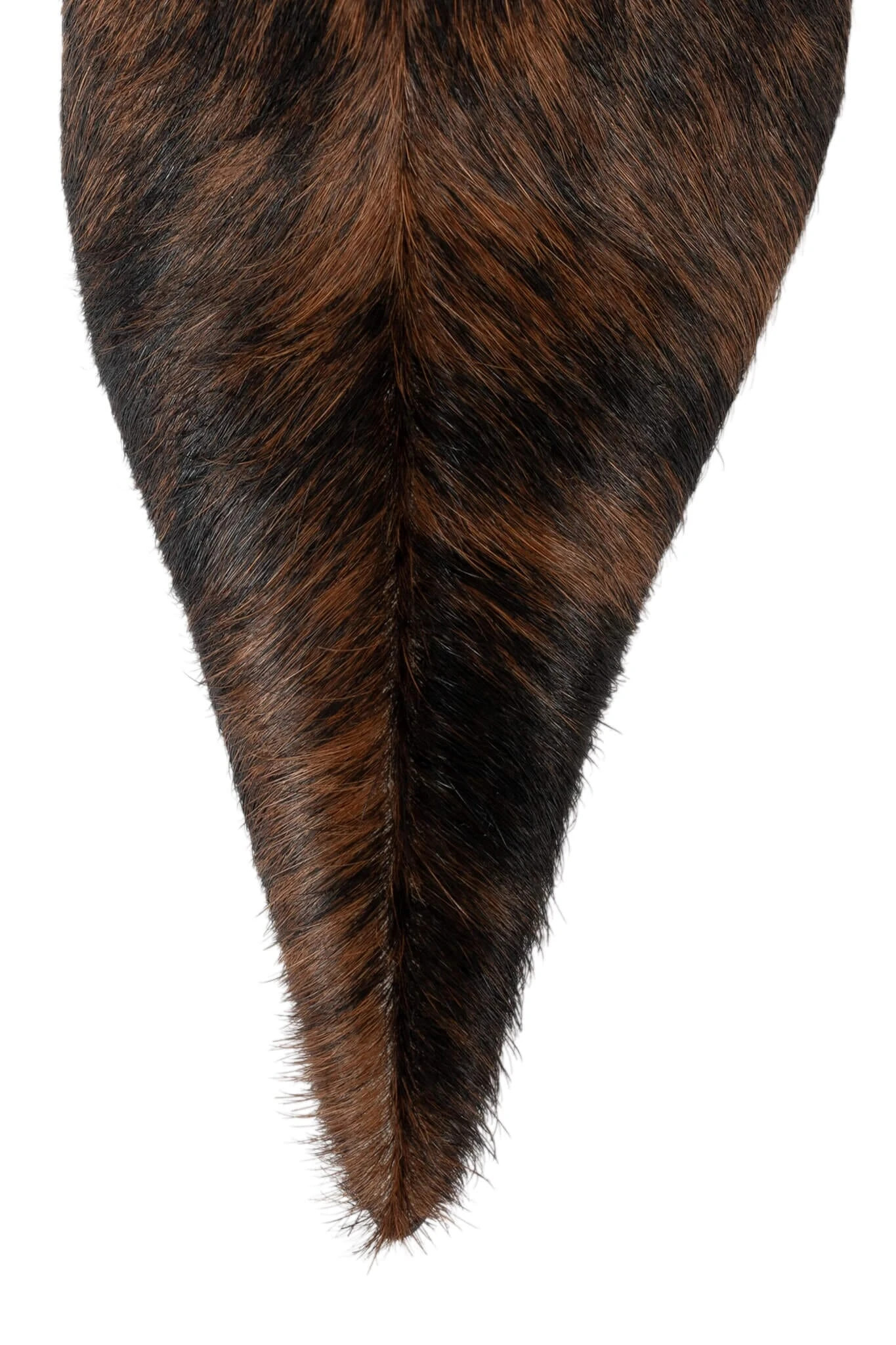 PROPOSAL-F 15 PROPOSAL-F - Image 13